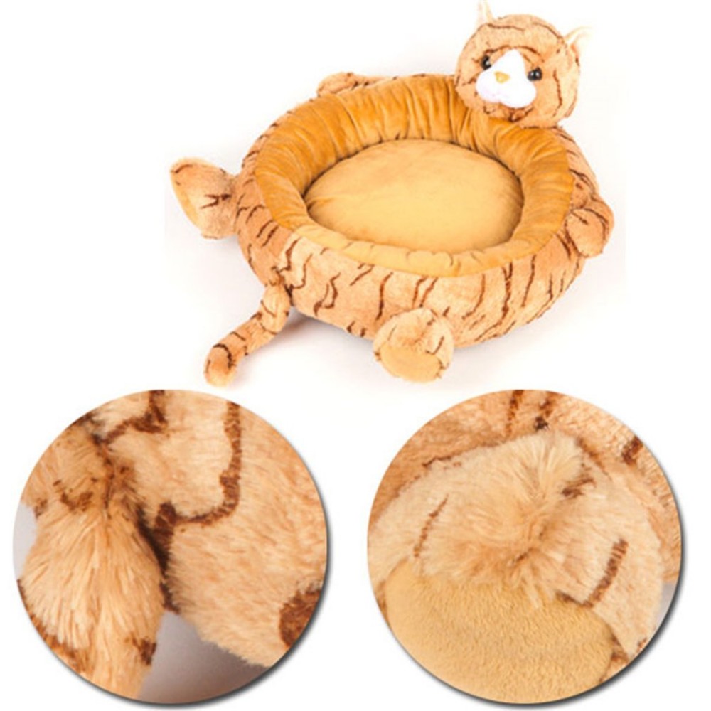 61leSx69N3L._SL1010_