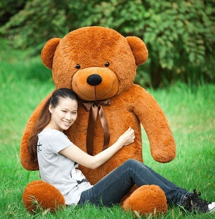 80cm teddy