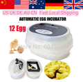 AUTOMATIC EGG INCUBATOR Chicken Incubator Poultry Harcher Quail 12 EGG Incubators