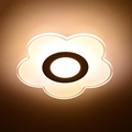 LED Ceiling Light Flower Round Aisle Light Acryl Balcony Ceiling Lamp Simple Nice Luminaire Porch Wall