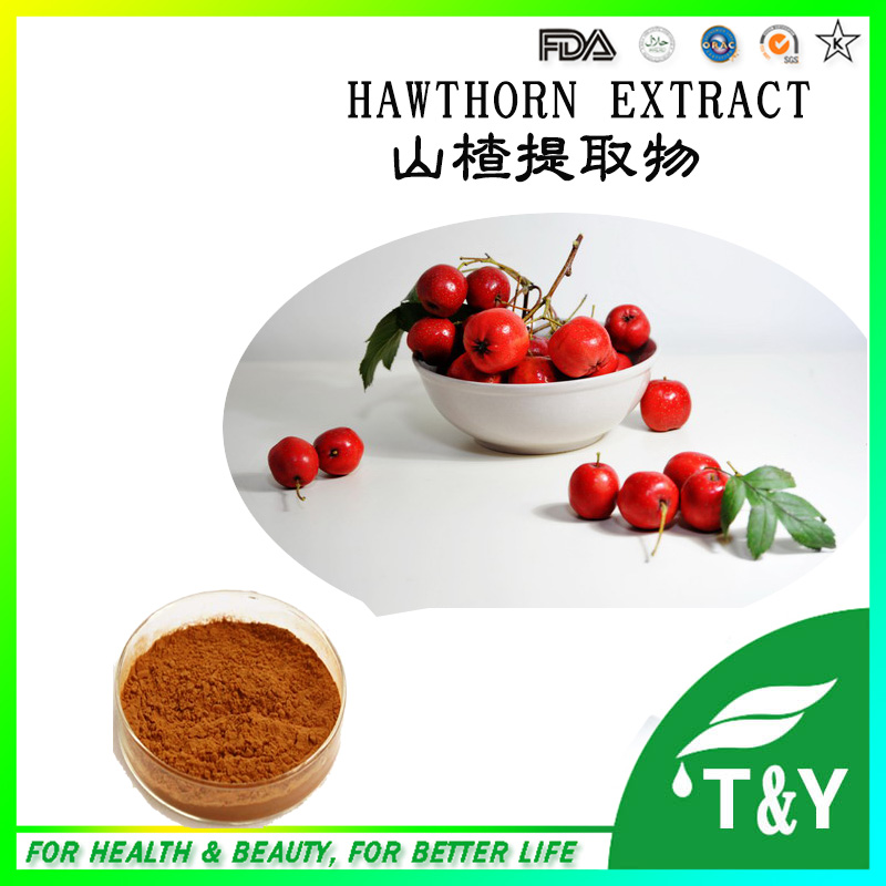 Pure Natural Hawthorn fruit Extract,Hawthorn Extract/Silica acid 800g/lot