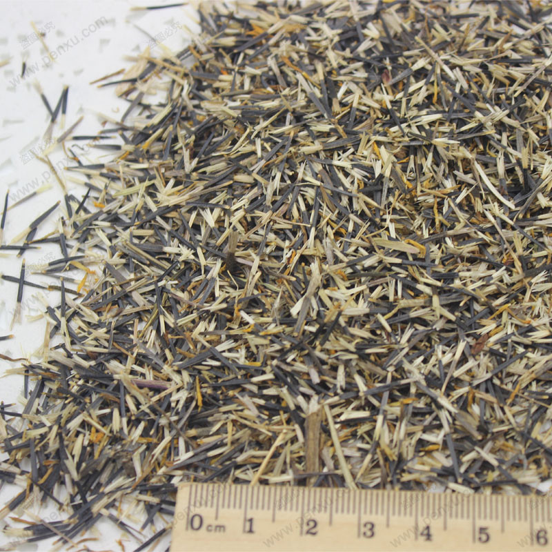 50 Pcs Blue Maidenhair Seeds, Flower Seeds, Marigold Chrysanthemum