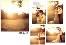 Wedding Backdrops Photography Photo Studio Backgrounds Romantic Fotografia Vinyl Backdrops For Photography