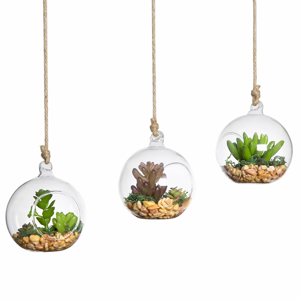 Online Buy Wholesale glass globe hanging terrarium from China glass