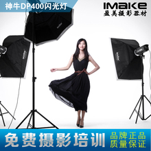 Studio Flash Kit DP Series DP400-D (400WS, 3 Flash Heads,Professional Photo Flash) photography light softbox set CP