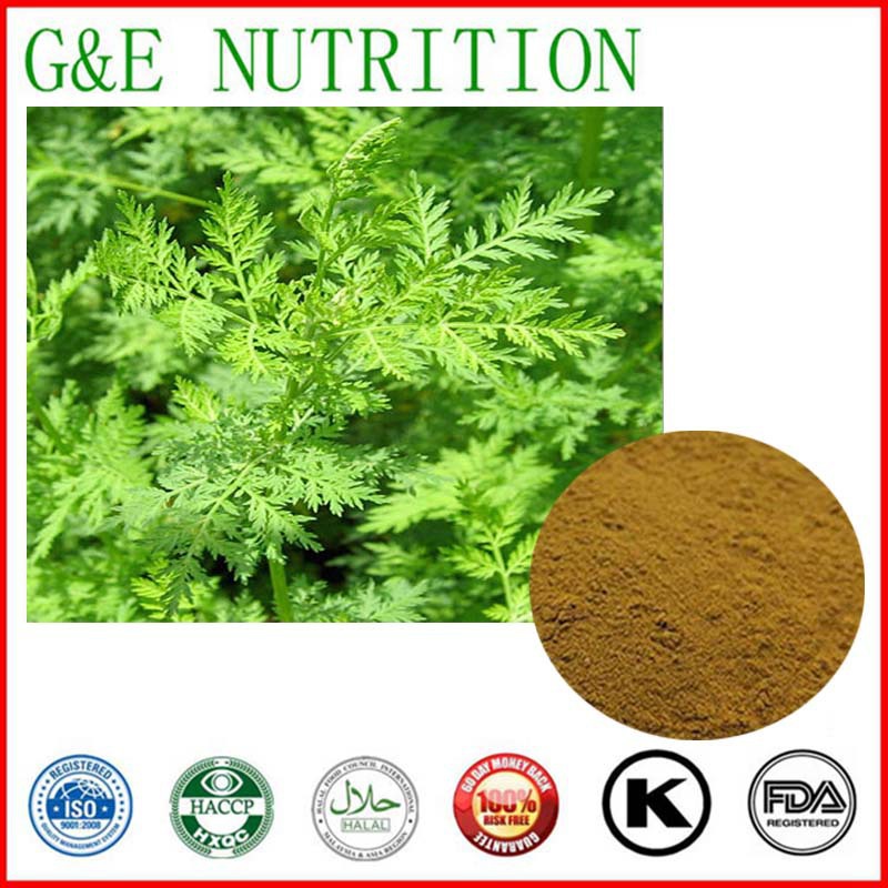 China Manufacture Supply Artemisia Annua Extract with Competitive price