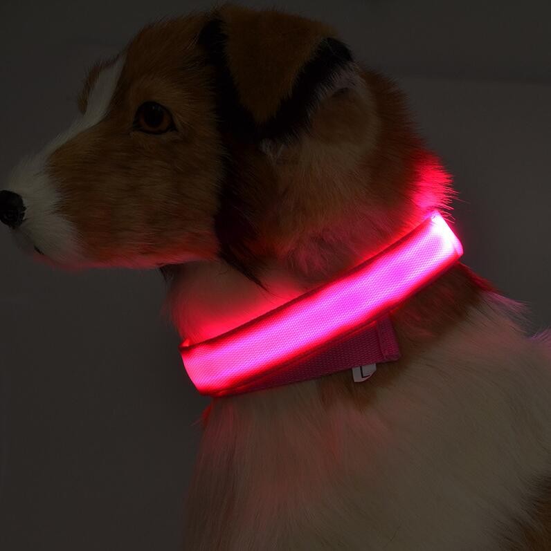 2020 Nylon LED Pet Dog Collar,Night Safety Flashing Glow In The Dark