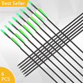 12 Pcs Epoxy Glass Fiber Carbon Arrow Anti Hit Nail 30 Archery Arrows Spine Plastic Feathers