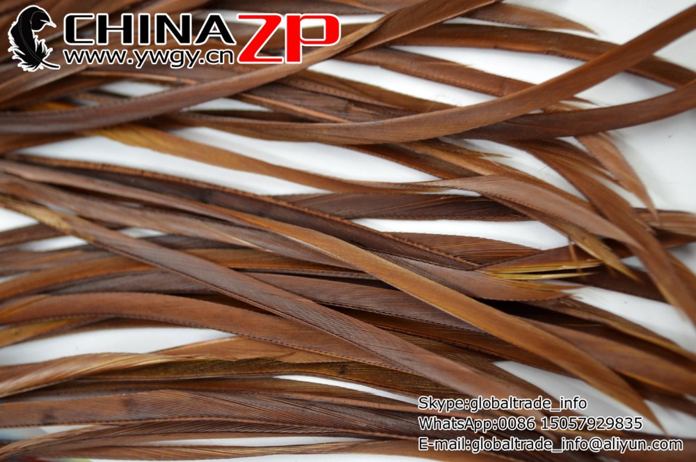 20 pcs - Goose Biots Feathers, Mid Brown, Loose, can be curled, ironed, no. 0273