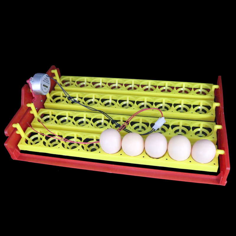 New 36 Eggs Automatic Incubator Turn The Eggs Tray Chicken Pheasant 