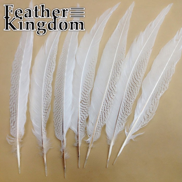 white silver feather 2-700