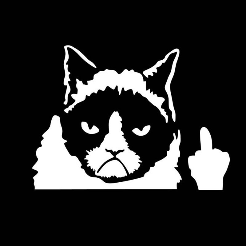 Funny CAT Motorcycle Car Stickers Waterproof Cover Scratches Decals Funny Car Sticker Black Silver CT 508