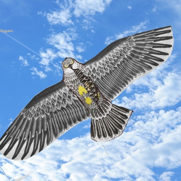 Huge Eagle Kite With String Novelty Toy Kites Eagles Large Flying New