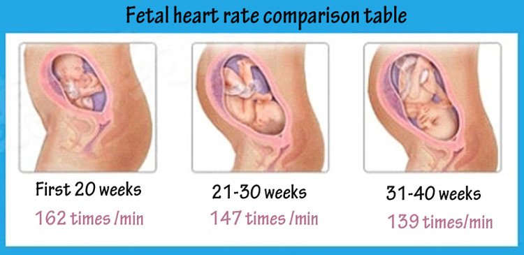 VCOMIN FD-200G Fetal Doppler LCD Screen Baby Heart Rate Detection Device