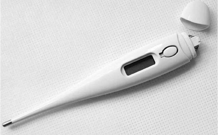 Baby Care Digital Thermometer Kid Fever Portable Thermometer High Quality Accurate Electronic Measuring Heat Body Baby (8)