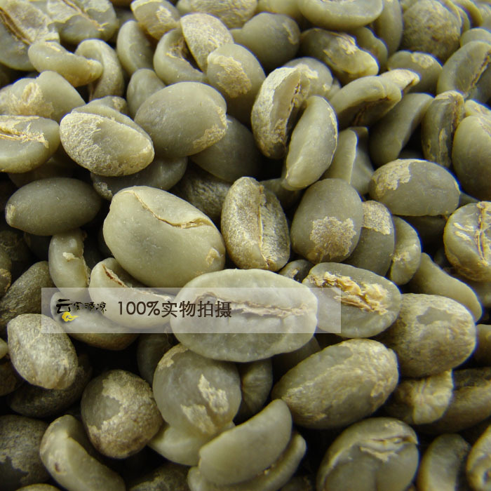 Old Varieties 100 Pure Typica Yunnan Small Coffee Beans 2013 Arabica A Green Coffee Beans 454g