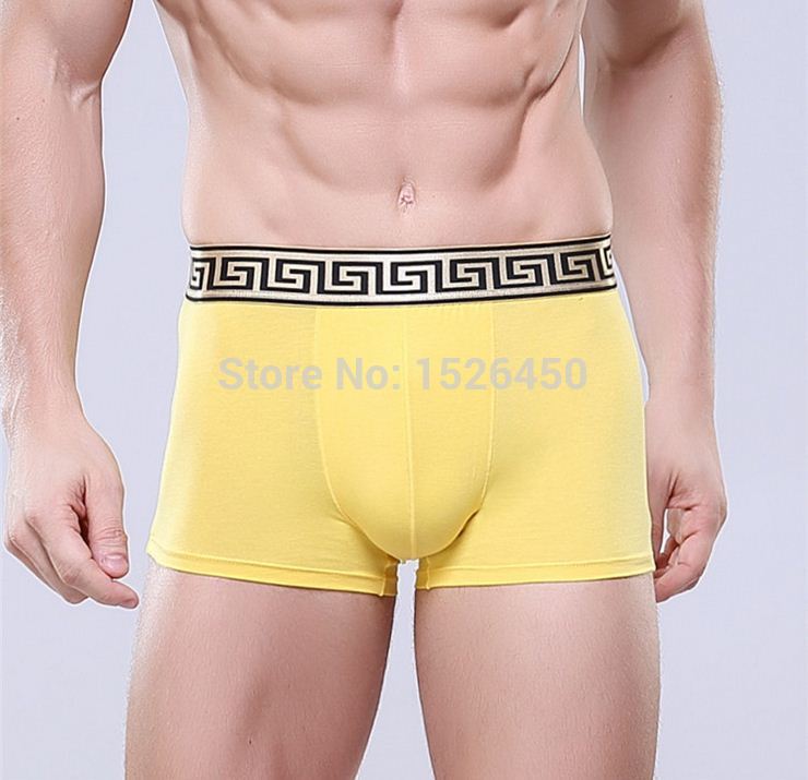 Super Sexy Male Cotton High Quality Men Boy Briefs Underwear Thong 