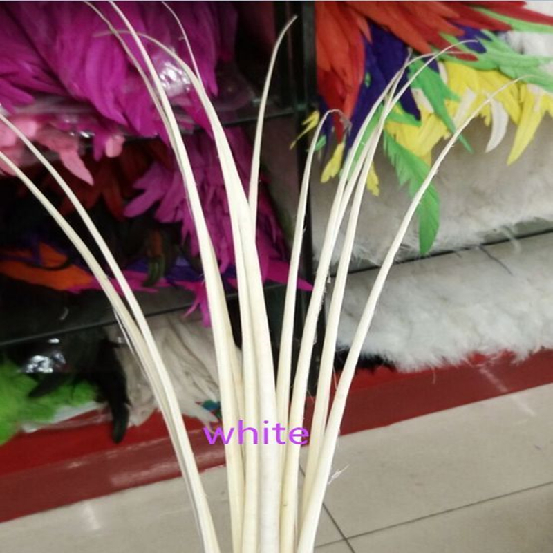 Description Picture 3 of itemWholesale 10 pcs Ostrich feathers spine 16-20inch/40-50cm hats & craft use