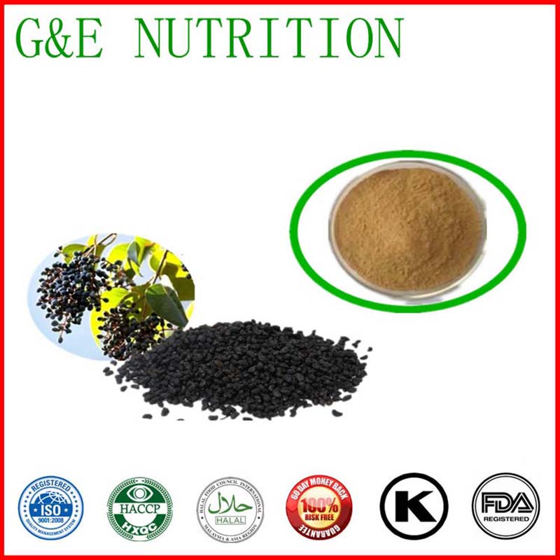 1000g Glossy privet fruit/ Fruit of glossy privet Extract with free shipping