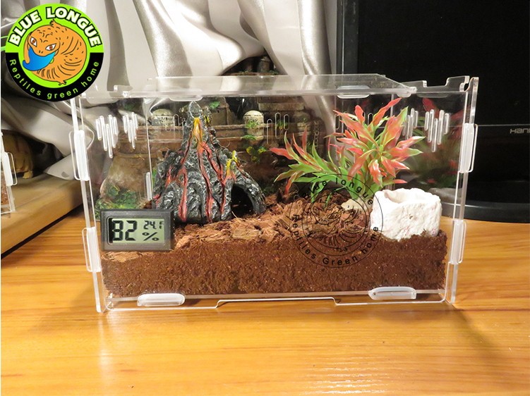 Crystal Acrylic Herp Pet Cage, Small box mosquera acrylic pet feeding box scorpion scollops pet box 25 x 15 x 15 cm212