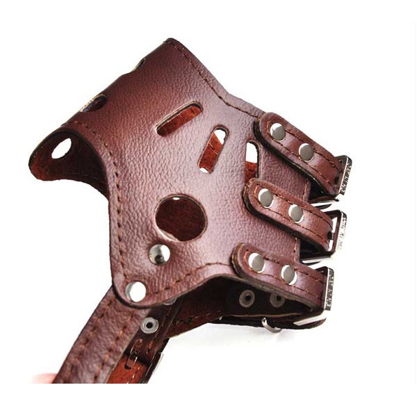 TB2JpLYeXXXXXazXXXXXXXXXXXX_!!379748778