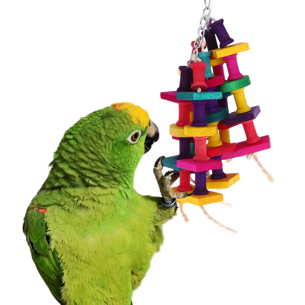 Papegaaien speelgoed Parrot             Conures   