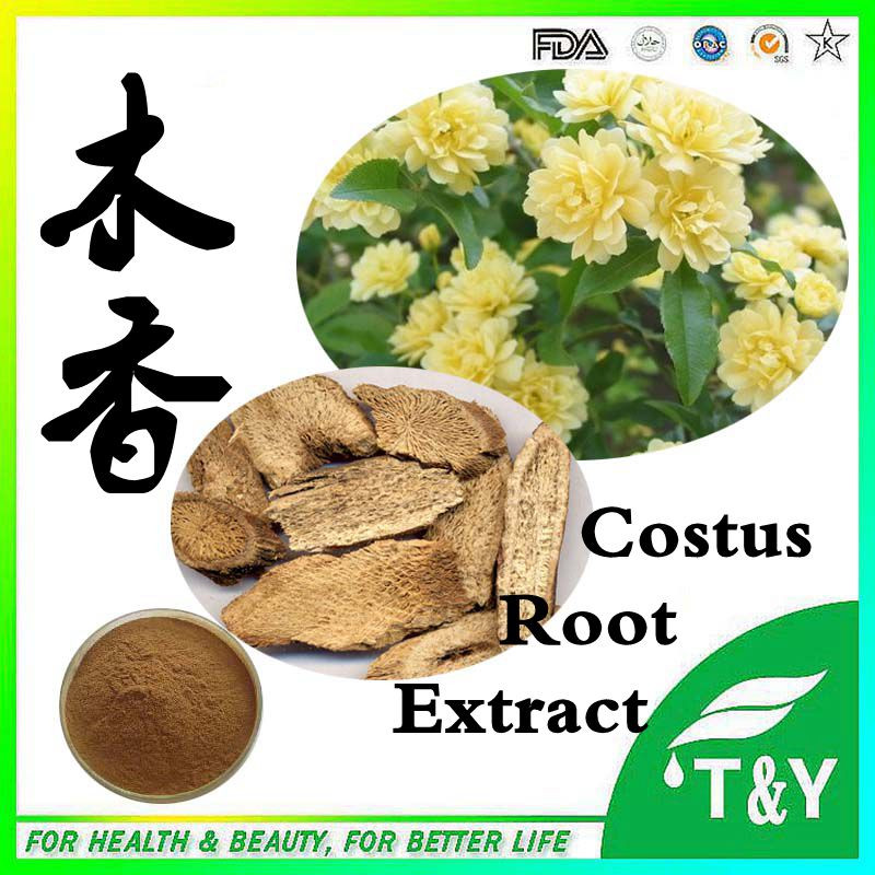 Natural High Quality Costus Root Extract powder/Radix Aucklandiae