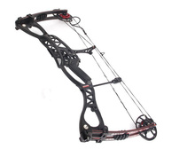 black RH&LF hand Hunting Bow arrow Set, right and left handed Caesar Compound Bow,bow And Archery Set
