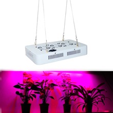 300w LED Grow Lights Full Spectrum Hydroponic Systems Best for Medicinal Plant Growth Flowering