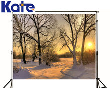 Romantic Theme Backdrop White Snow Trees Newborn Photography Backdrops Sun Grass Way Backgrounds For Photo Studio