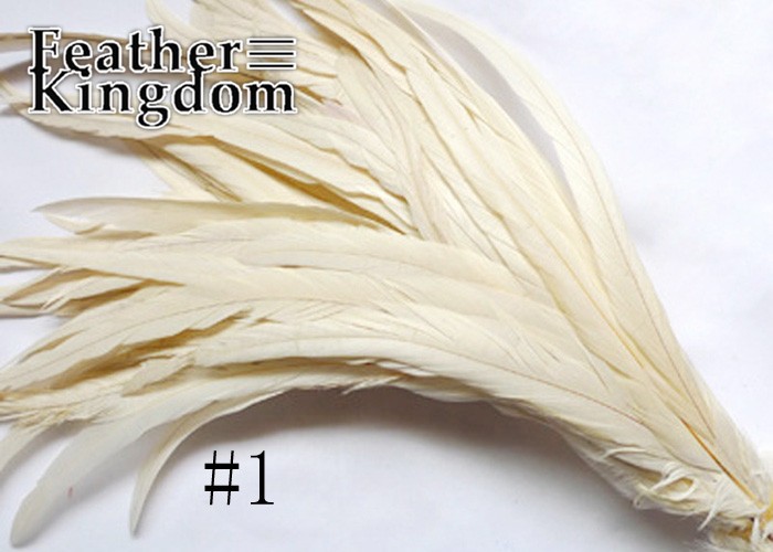 beige white rooster tail feather