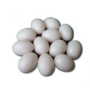 Pigeon-Fake-Eggs-for-Hatch-Chicken-Duck-Small-Geese-Incubation 