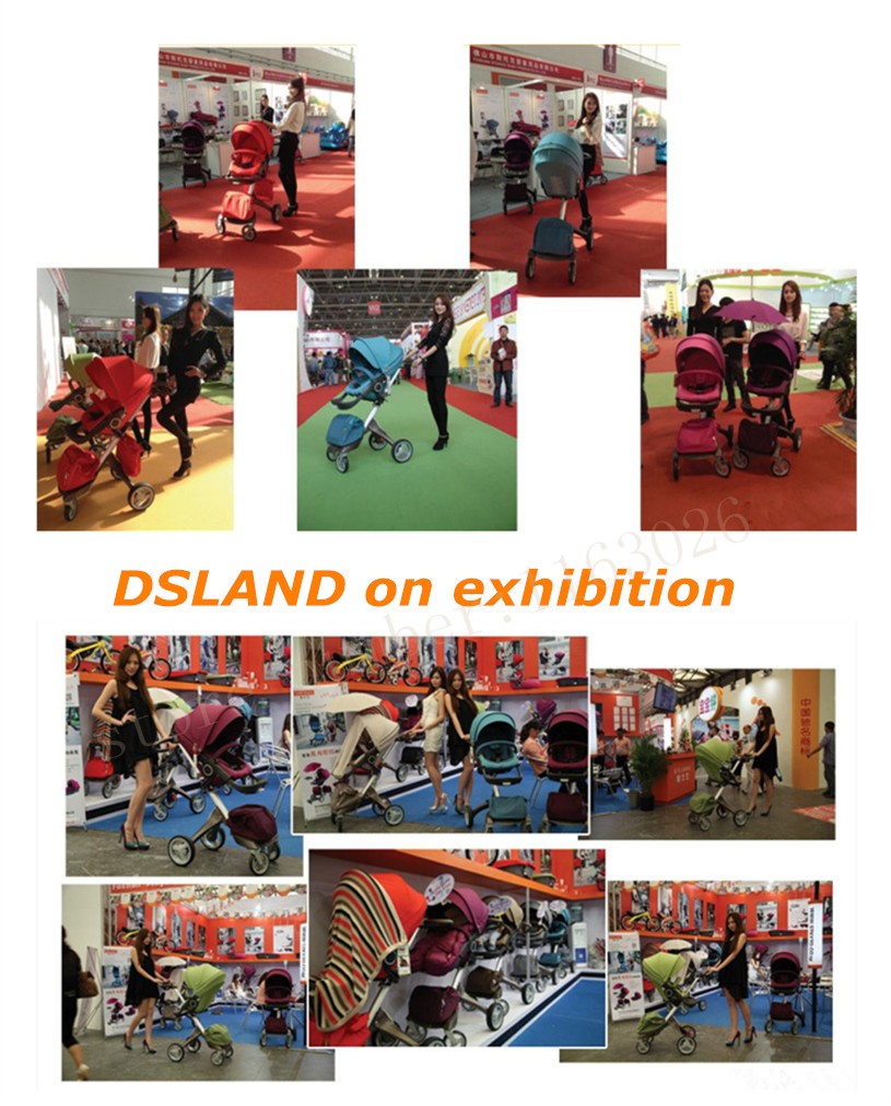 dsland exhibition