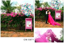 Photography Backdrop Balloon Tree Brand Backgrounds For Photo Studio Wedding Background Cm-5871