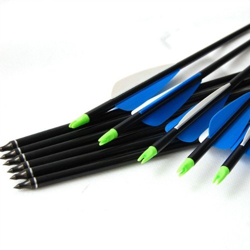6 pcs pack 30 inch long Steel Point Archery Hunting Compound Bow Carbon Arrows with Blue