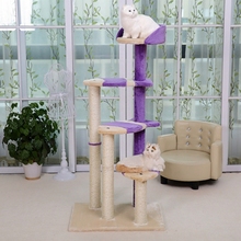Cat Post and Multi Level Activity Tree