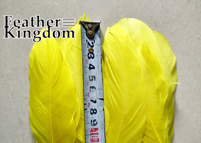 yellow goose feather 2-700-1