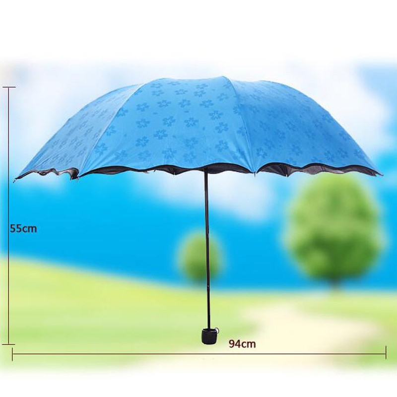 Umbrella-001-22