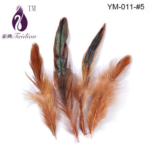 Rooster feather-5