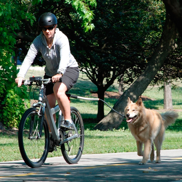 With-spring-full-scale-bike-dog-rope-riding-dog-walking-the-dog-pet-traction-belt-traction.jpg