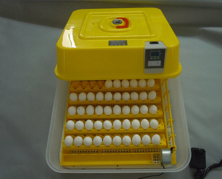 -hatching-machine-egg-incubator-42-egg-hatchery-machine-pigeon.jpg