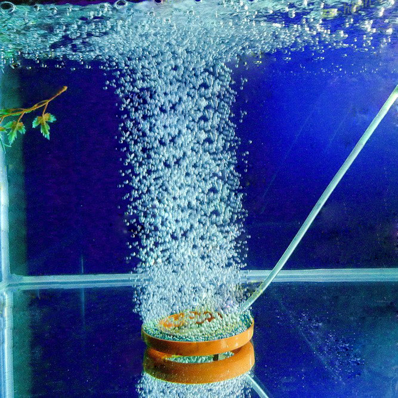 10cm Diameter Air Bubble Stone Aerator for Aquarium Fish Tank Pump Hydroponic Oxygen Plate 10cm Diameter Air Bubble Stone Aerator for Aquarium Fish Tank Pump Hydroponic Oxygen Plate