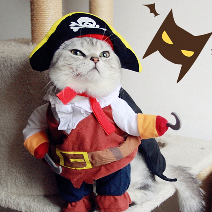 Funny-Halloween-pet-cat-font-b-dog-b-font-font-b-Pirate-b-font-font-b.jpg