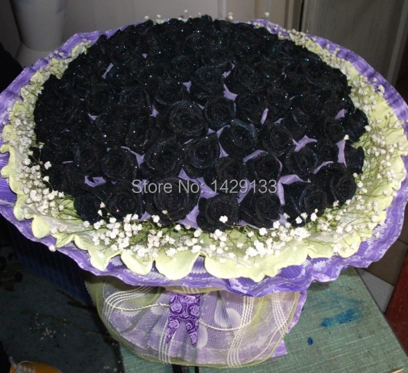 Spedizione-gratuita-cina-rare-black-rose-fiore-semi-150-pz-di-alta-qualit%C3%A0-facile-da-piantare.jpg