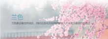 HTB1MlFYGpXXXXcyXpXXq6xXFXXXx