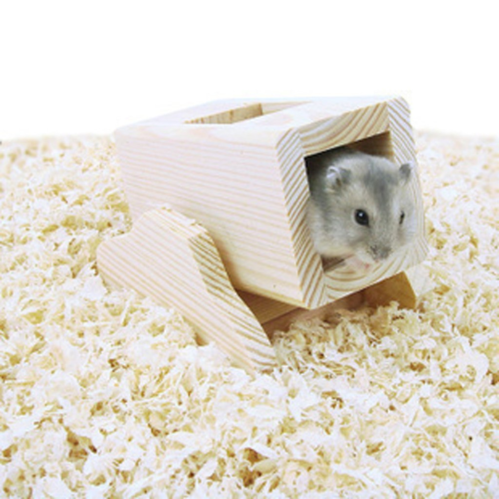 Toys Hamsters 6
