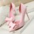 New Summer Women Pumps Sweet Bow High-heeled Shoes Thin Pink High Heel Shoes Hollow Pointed Toe Stiletto Elegant Sansal G3168