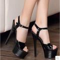 Shoes Woman Summer Sexy High heeled Shoes 15cm Model Catwalk with Waterproof Paint Sets Sandals Plus