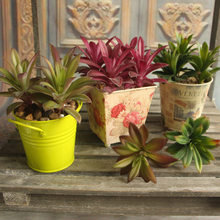 Grass Leaf Desert Artificial Plant Rare Garden Succulent Landscape Fake Flower Home Decor health materail