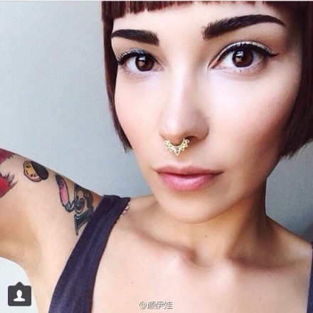 Titanium diamond nose ring